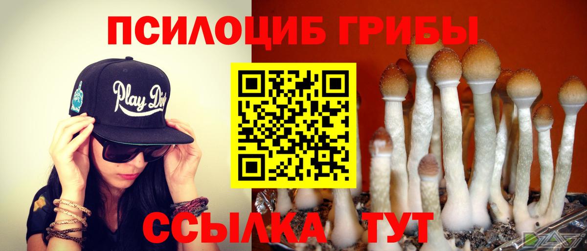 Псилоцибиновые грибы Cubensis  Вход с VPN  Заводоуковск  Галлюциногенные грибы GOLDEN TEACHER 